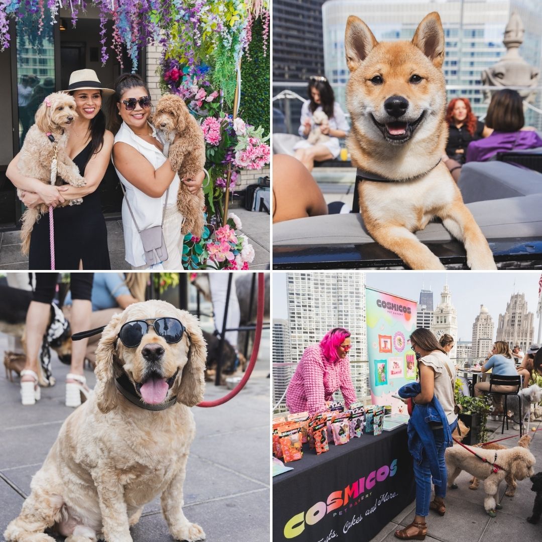 Dogs and their owners enjoying the LH Rooftop at LondonHouse Chicago during the LH Wooftop Pawty event. Guests pose with their pets under colorful floral décor, a smiling Shiba Inu lounges on a rooftop couch, a dog in sunglasses sits on the patio, and vendors display pet products against the Chicago skyline.